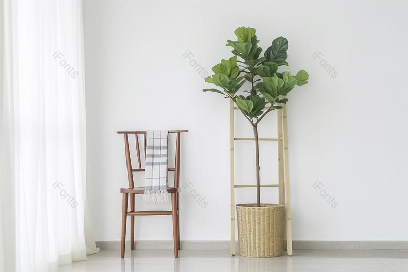 北欧家居现代简约风白色窗帘绿植和椅子,高清,摄影图,摄影图片,图片大全,摄影图免费下载